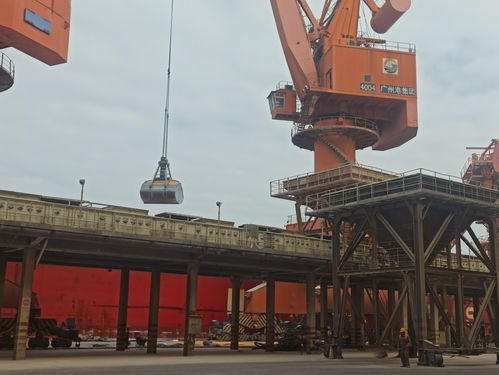 大展宏 兔 向未来,今年广州港将继续开展集装箱运输扶持奖励